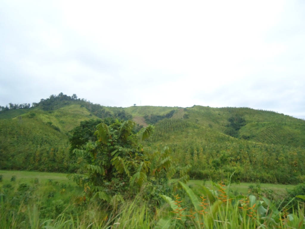 Foto: Paisaje - Atacames (Esmeraldas), Ecuador