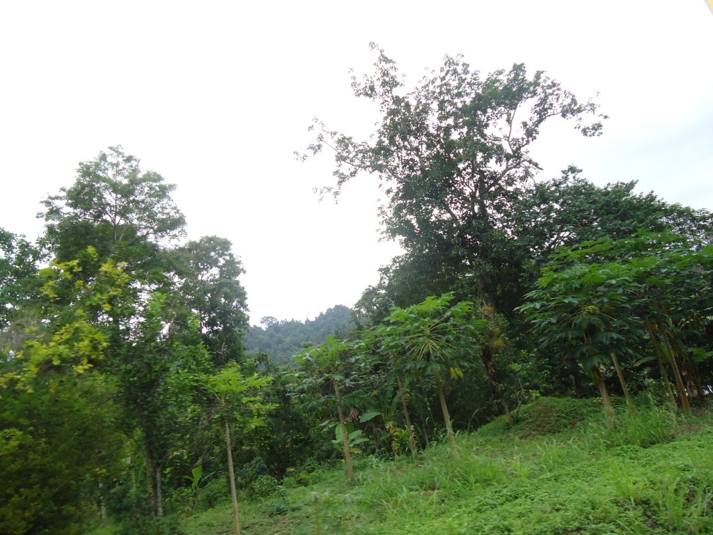 Foto: Paisaje - Atacames (Esmeraldas), Ecuador