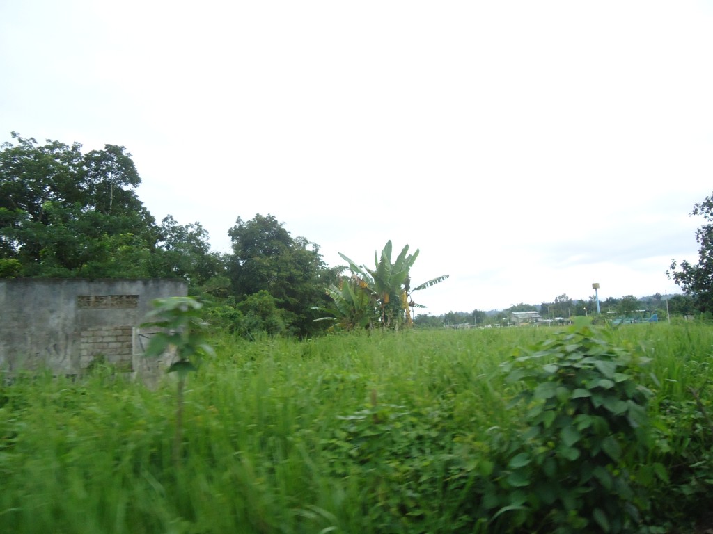 Foto: Paisaje - Atacames (Esmeraldas), Ecuador