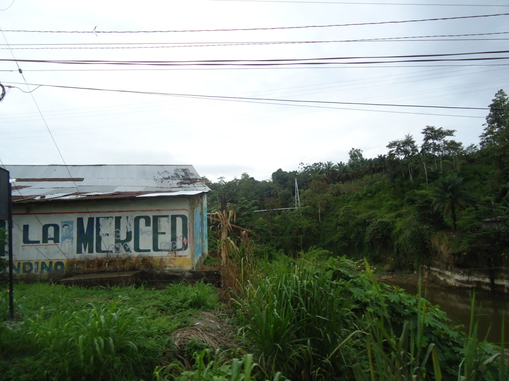 Foto: Paisaje - La Concordia (Esmeraldas), Ecuador