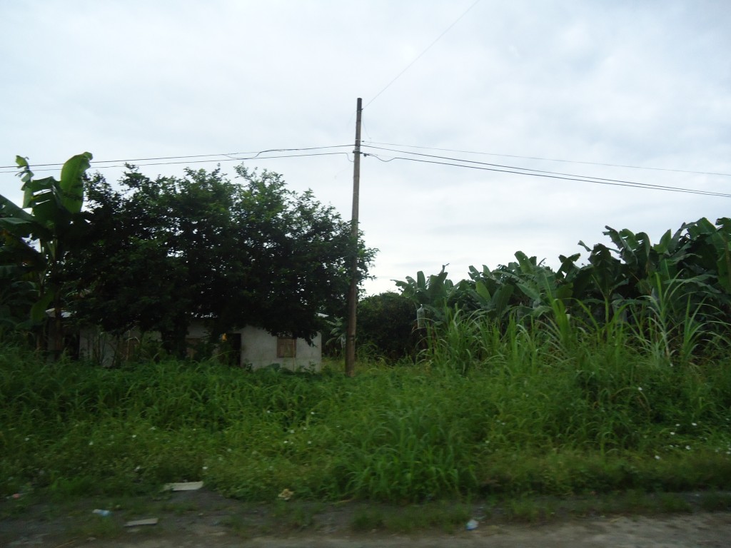 Foto: Paisaje - La Concordia (Esmeraldas), Ecuador