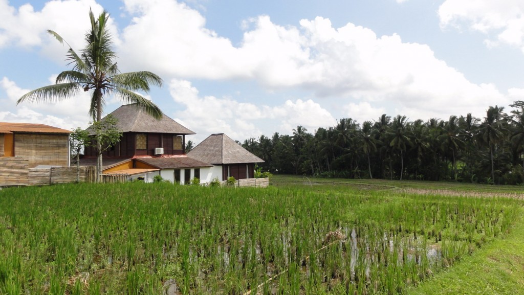Foto: La casita de los arrozales - Tegallalang (Bali), Indonesia