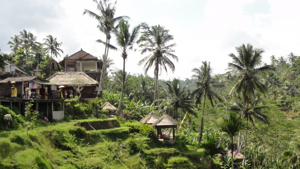 Foto: Restaurante con reservados - Tegallalang (Bali), Indonesia