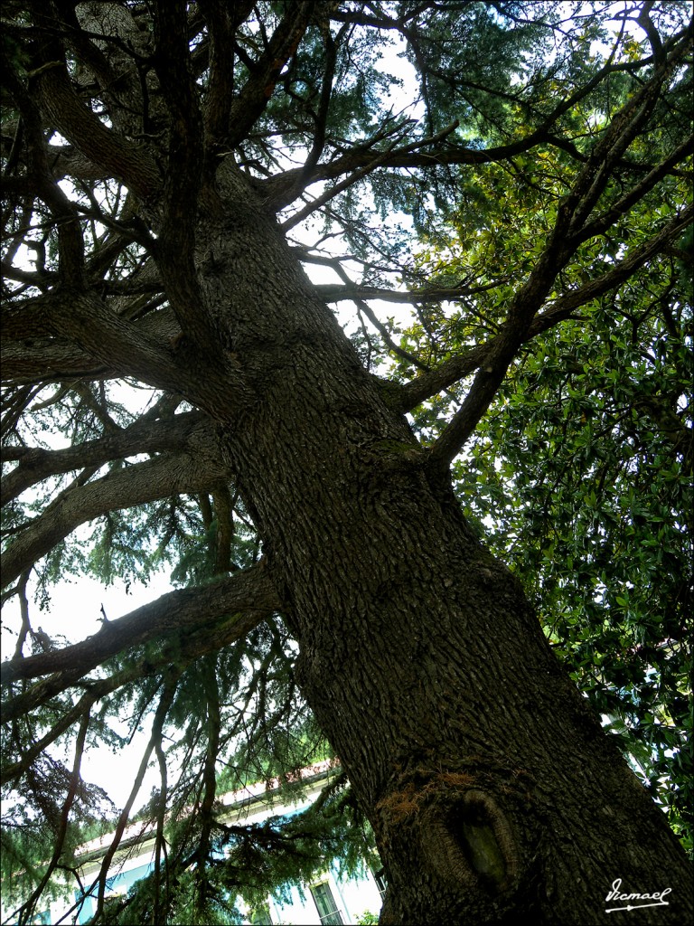 Foto: 110630-020 CESTONA - Zestoa (Gipuzkoa), España