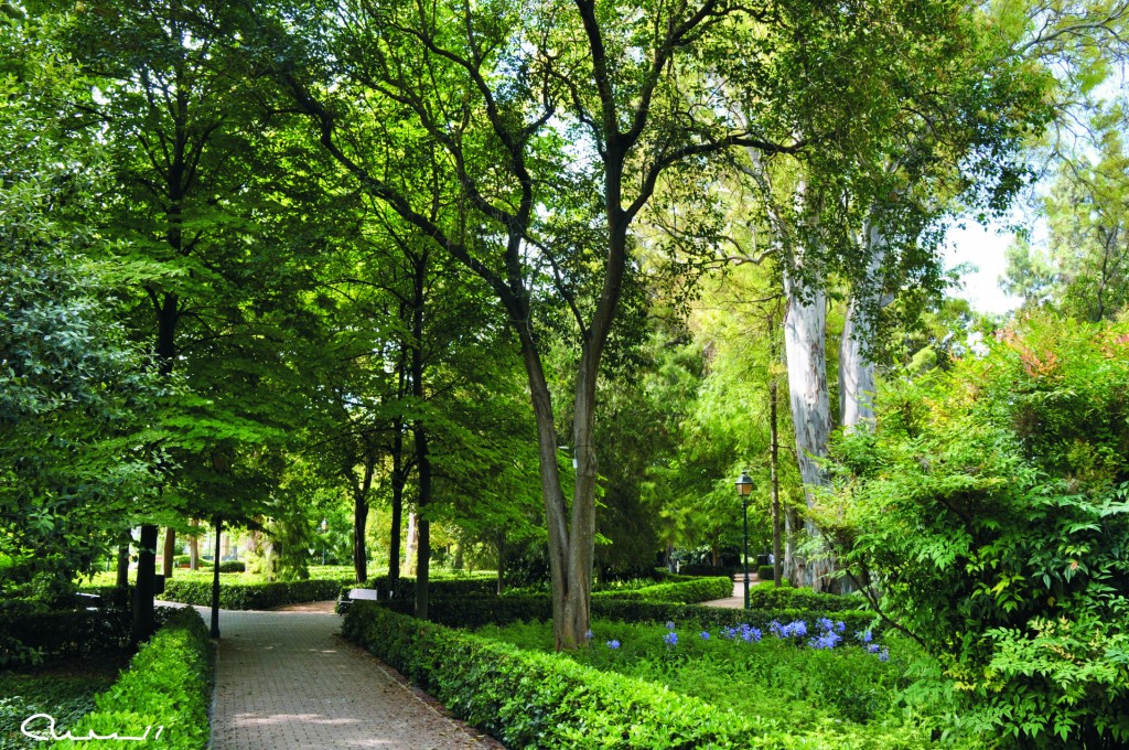 Foto: Jardines de Ayora - Valencia (València), España