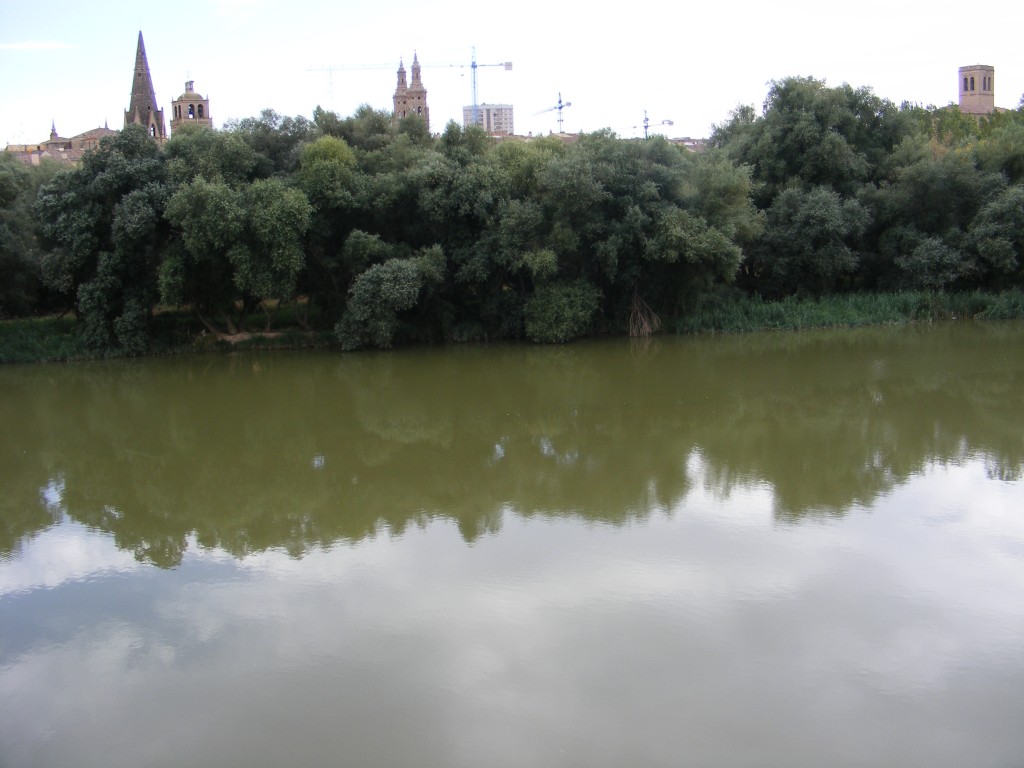 Foto: Rio Ebro - Logroño (La Rioja), España