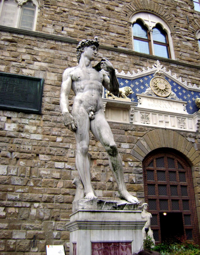Foto: El David - Florencia, Italia
