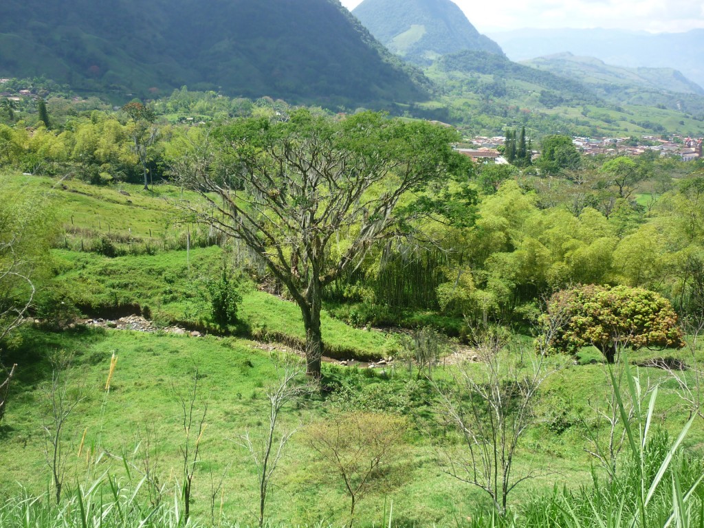 Foto de Venesia (Antioquia), Colombia
