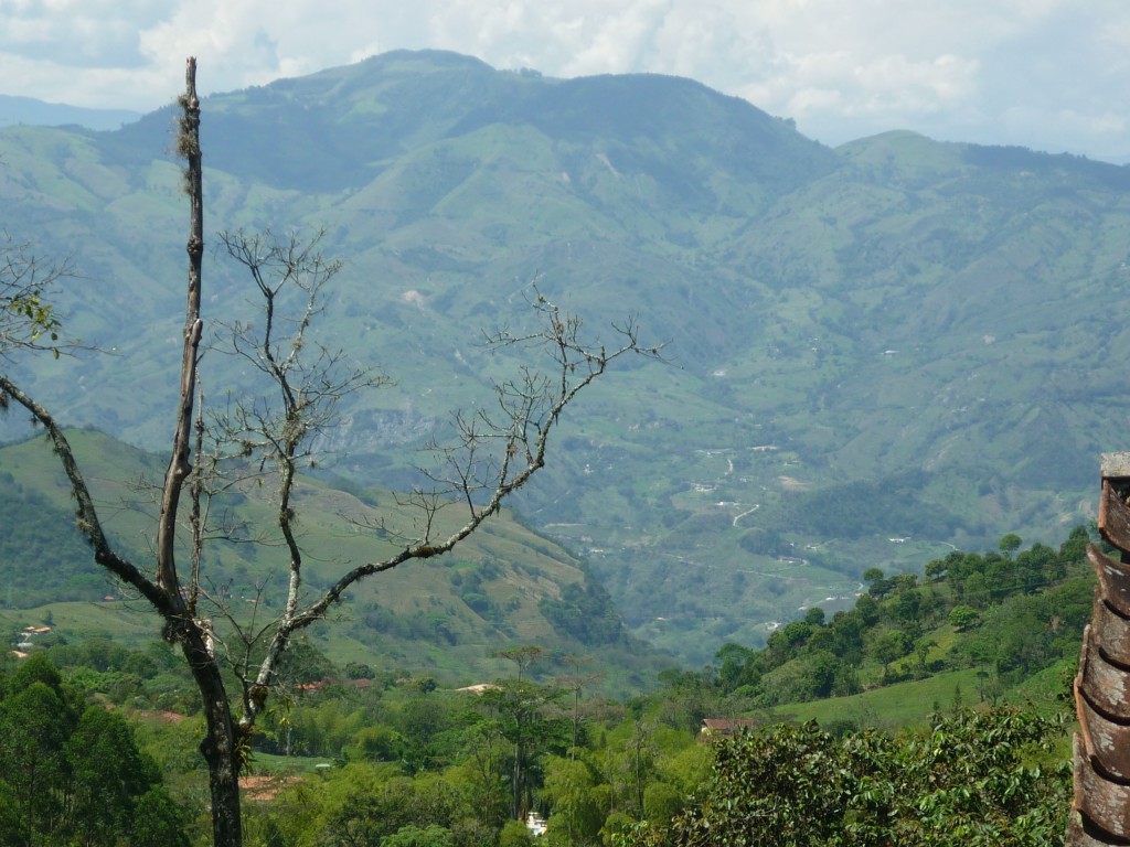 Foto de Venesia (Antioquia), Colombia