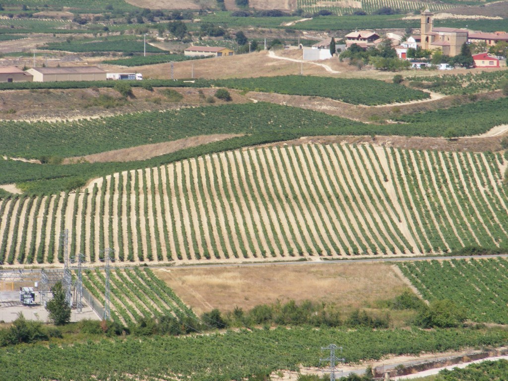 Foto: Vista de Elvillar des de Laguardia - Laguardia (Álava), España
