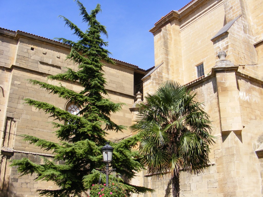 Foto: Santa María en Laguardia - Laguardia (Álava), España