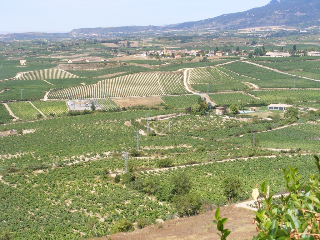 Foto: Vista de Elvillar des de Laguardia - Laguardia (Álava), España
