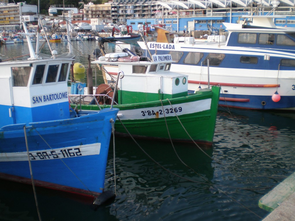 Foto: Port de Blanes - Blanes (Girona), España