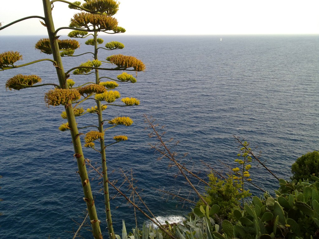 Foto: Castillo de Tossa - Tossa de Mar (Girona), España