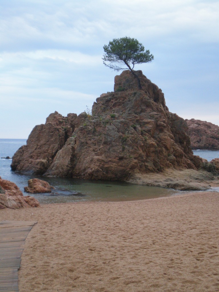 Foto: Passeig del Mar - Tossa de Mar (Girona), España