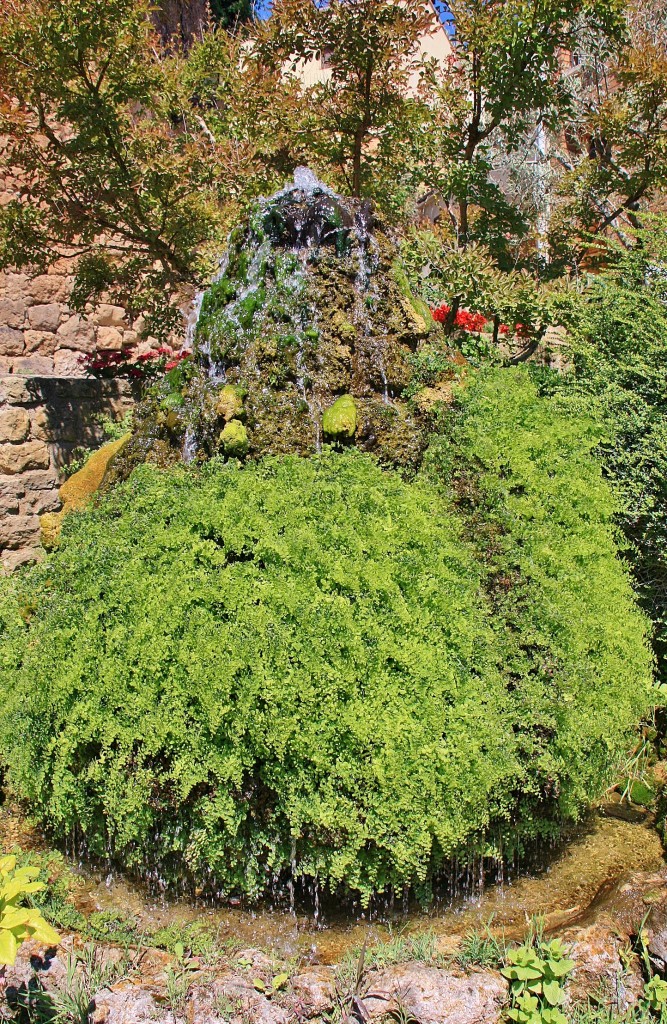 Foto: Fuente - Alòs de Balaguer (Lleida), España