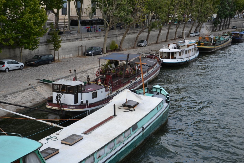 Foto: Rio Sena - París (Île-de-France), Francia