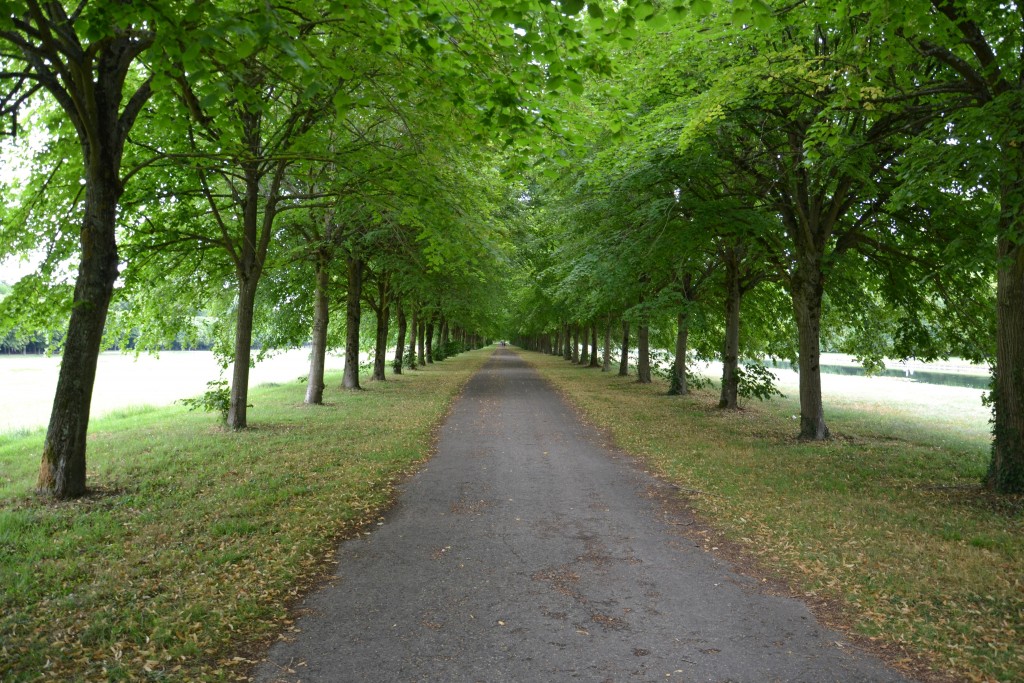 Foto: Parc Château de Fontainebleau - Fontainbleu (Île-de-France), Francia
