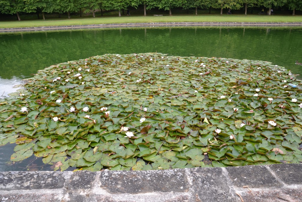 Foto: Parc Château de Fontainebleau - Fontainbleu (Île-de-France), Francia
