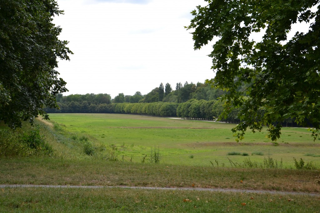 Foto: Château de Fontainebleau - Fontainbleu (Île-de-France), Francia