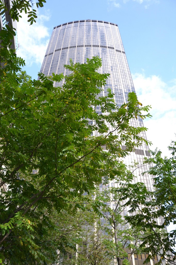 Foto: Tour Montparnasse - París (Île-de-France), Francia