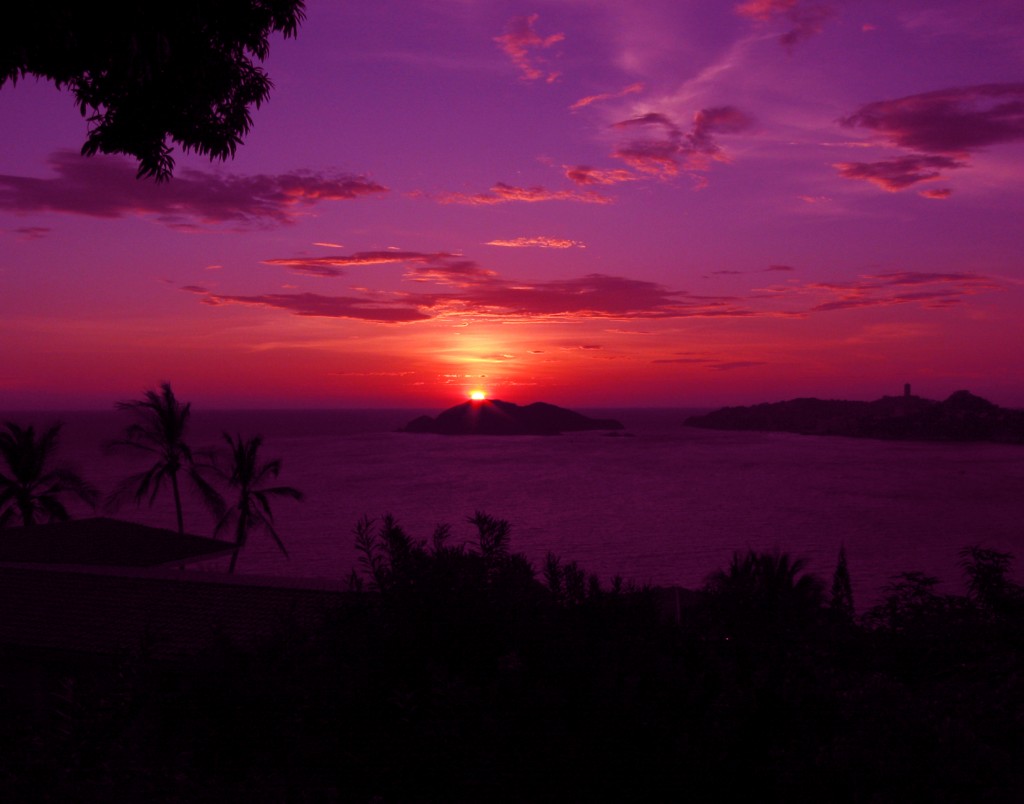 Foto: OCASO - Acapulco, México