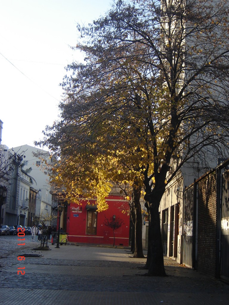 Foto: Barrio de San Telmo - Buenos Aires, Argentina