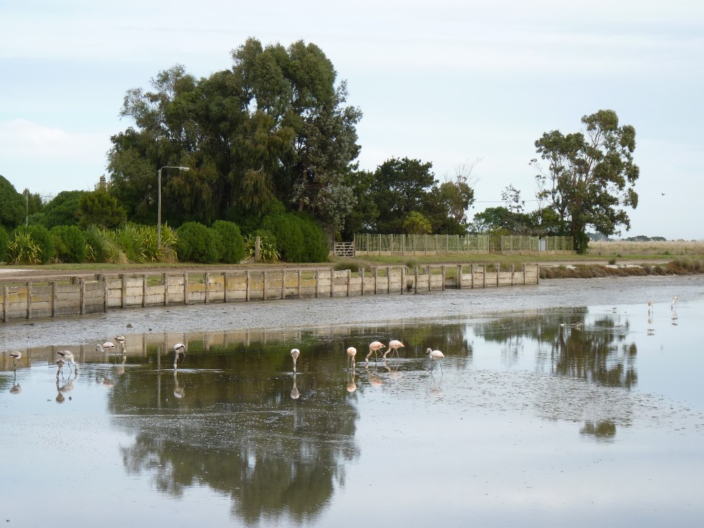 Foto de Mar Chiquita (Buenos Aires), Argentina