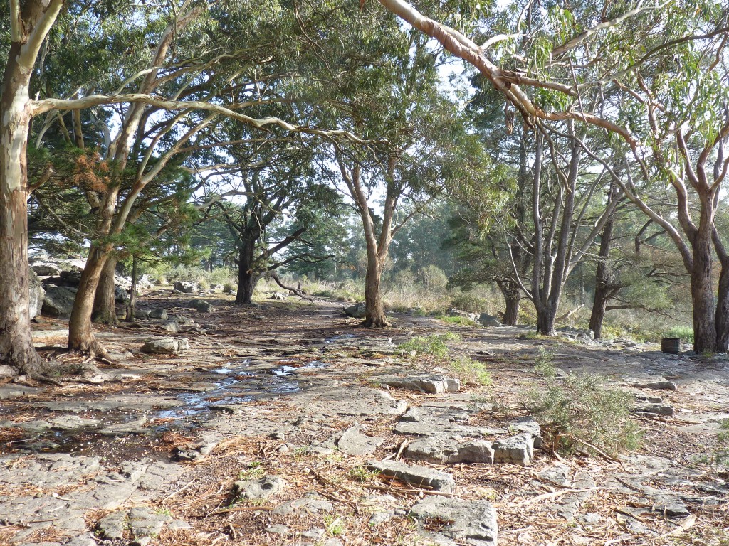 Foto de Sierra de los Padres (Buenos Aires), Argentina