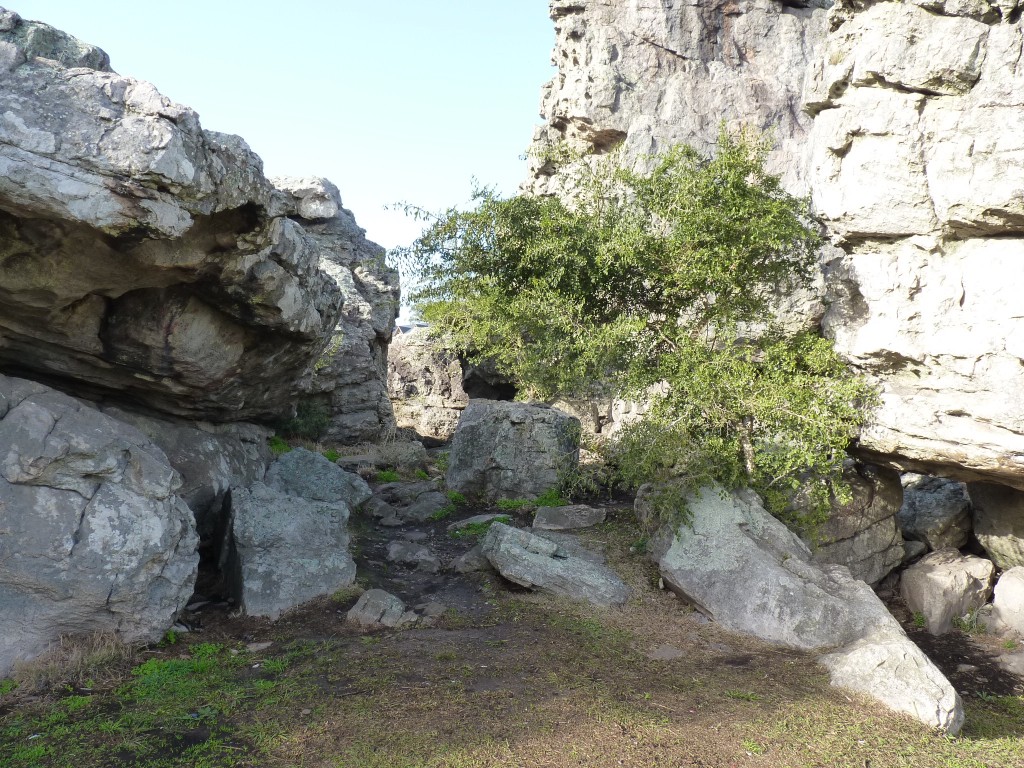 Foto de Sierra de los Padres (Buenos Aires), Argentina