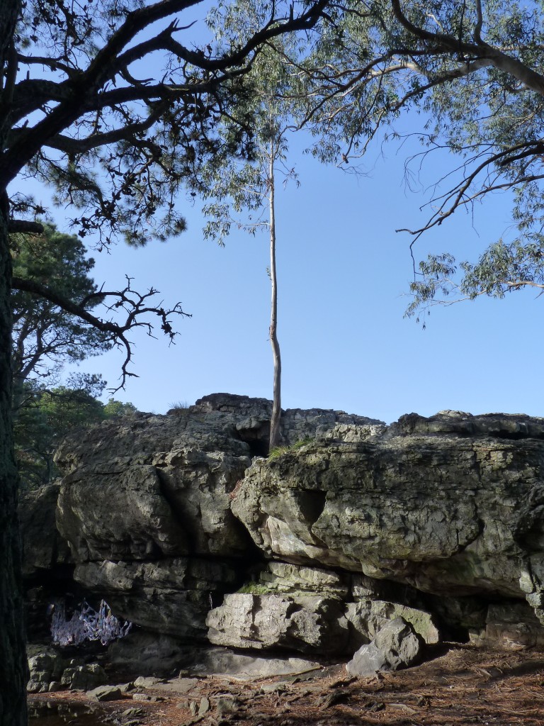 Foto de Sierra de los Padres (Buenos Aires), Argentina