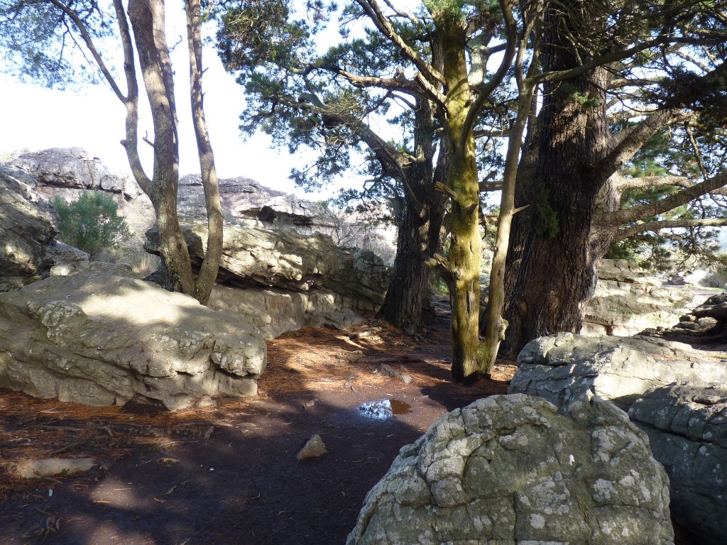 Foto de Sierra de los Padres (Buenos Aires), Argentina
