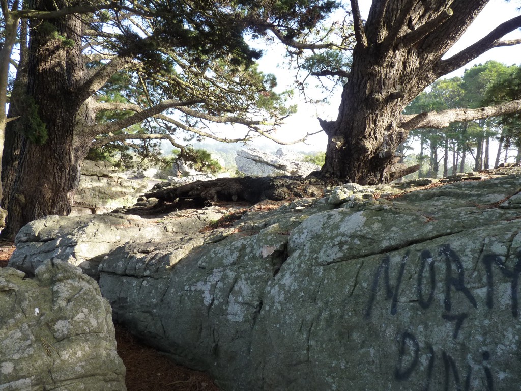 Foto de Sierra de los Padres (Buenos Aires), Argentina