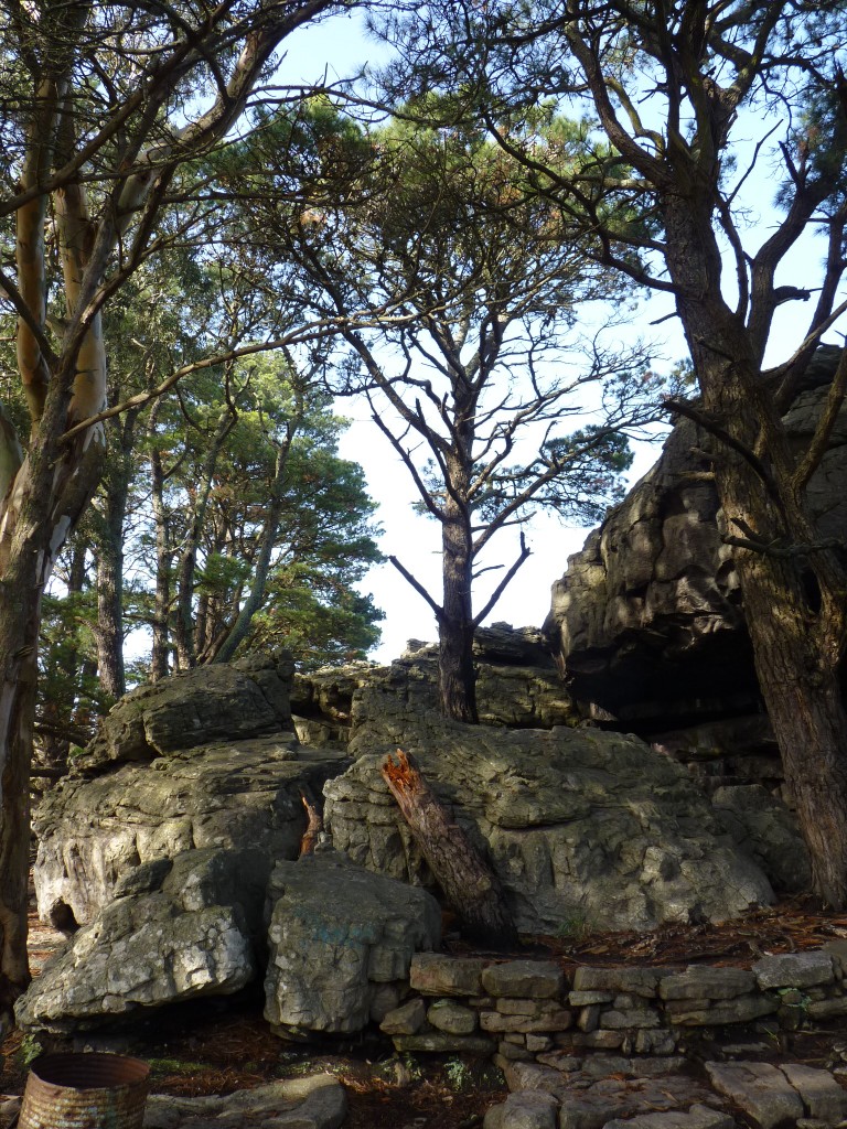Foto de Sierra de los Padres (Buenos Aires), Argentina