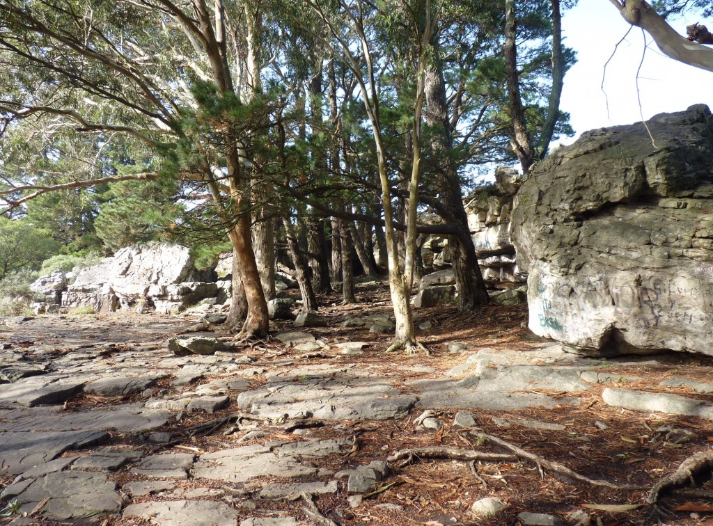 Foto de Sierra de los Padres (Buenos Aires), Argentina