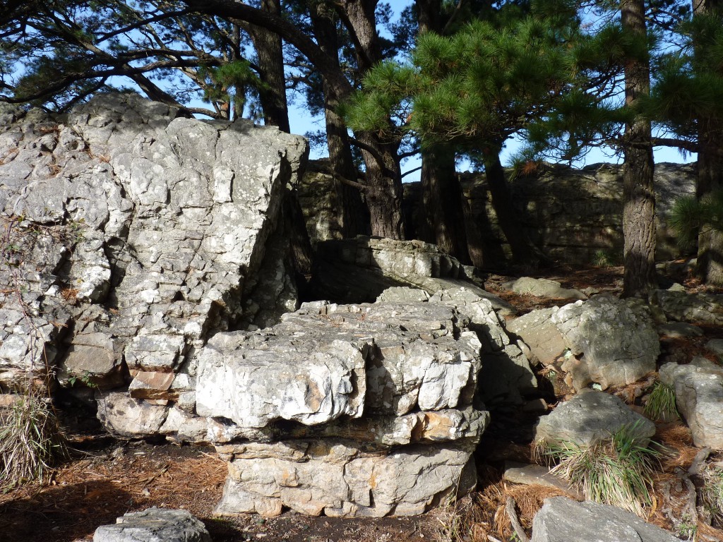 Foto de Sierra de los Padres (Buenos Aires), Argentina