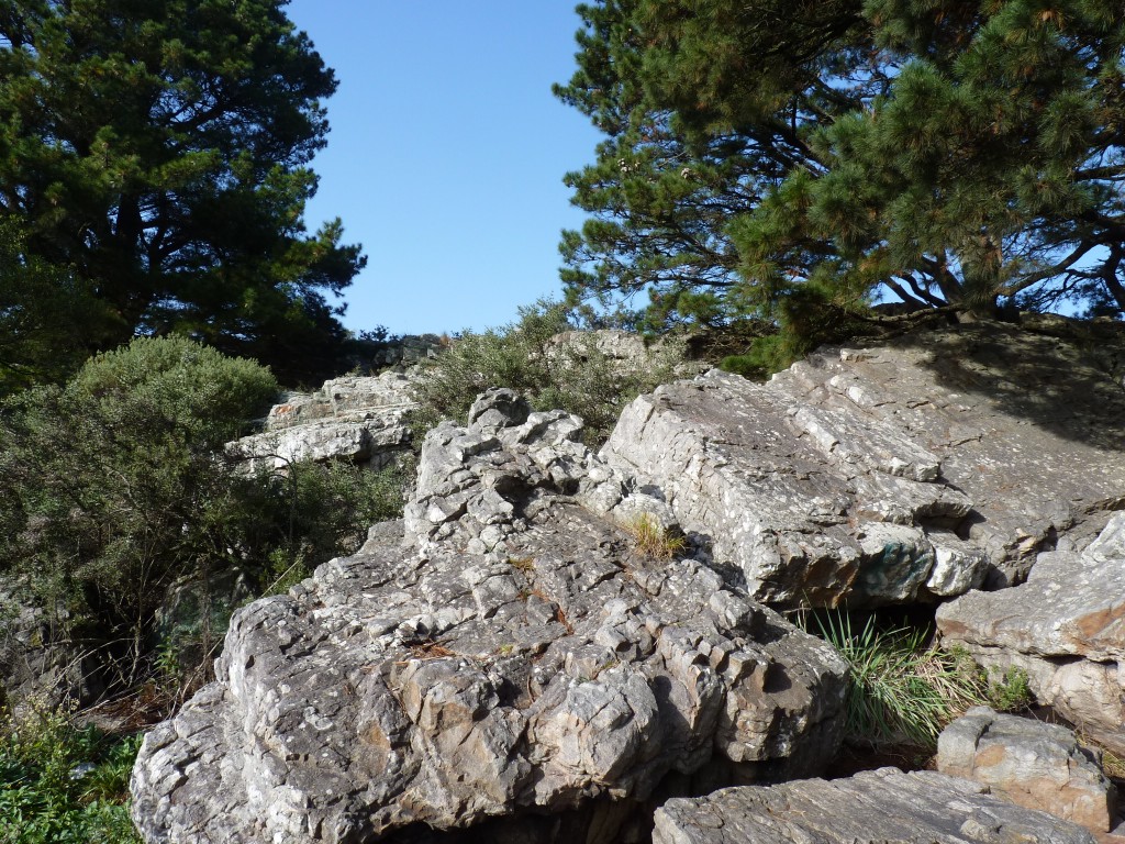 Foto de Sierra de los Padres (Buenos Aires), Argentina