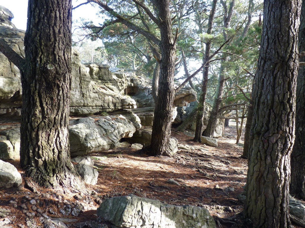 Foto de Sierra de los Padres (Buenos Aires), Argentina