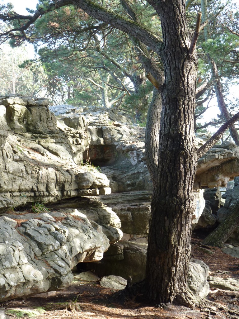 Foto de Sierra de los Padres (Buenos Aires), Argentina
