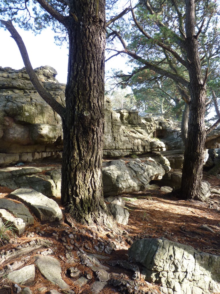 Foto de Sierra de los Padres (Buenos Aires), Argentina