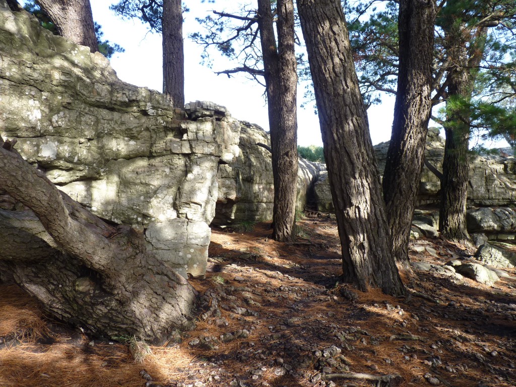Foto de Sierra de los Padres (Buenos Aires), Argentina