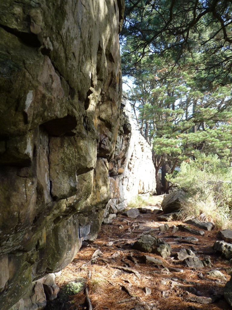 Foto de Sierra de los Padres (Buenos Aires), Argentina