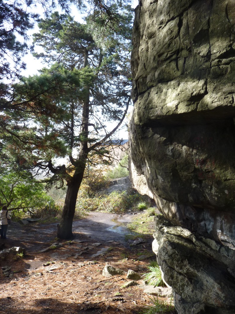 Foto de Sierra de los Padres (Buenos Aires), Argentina