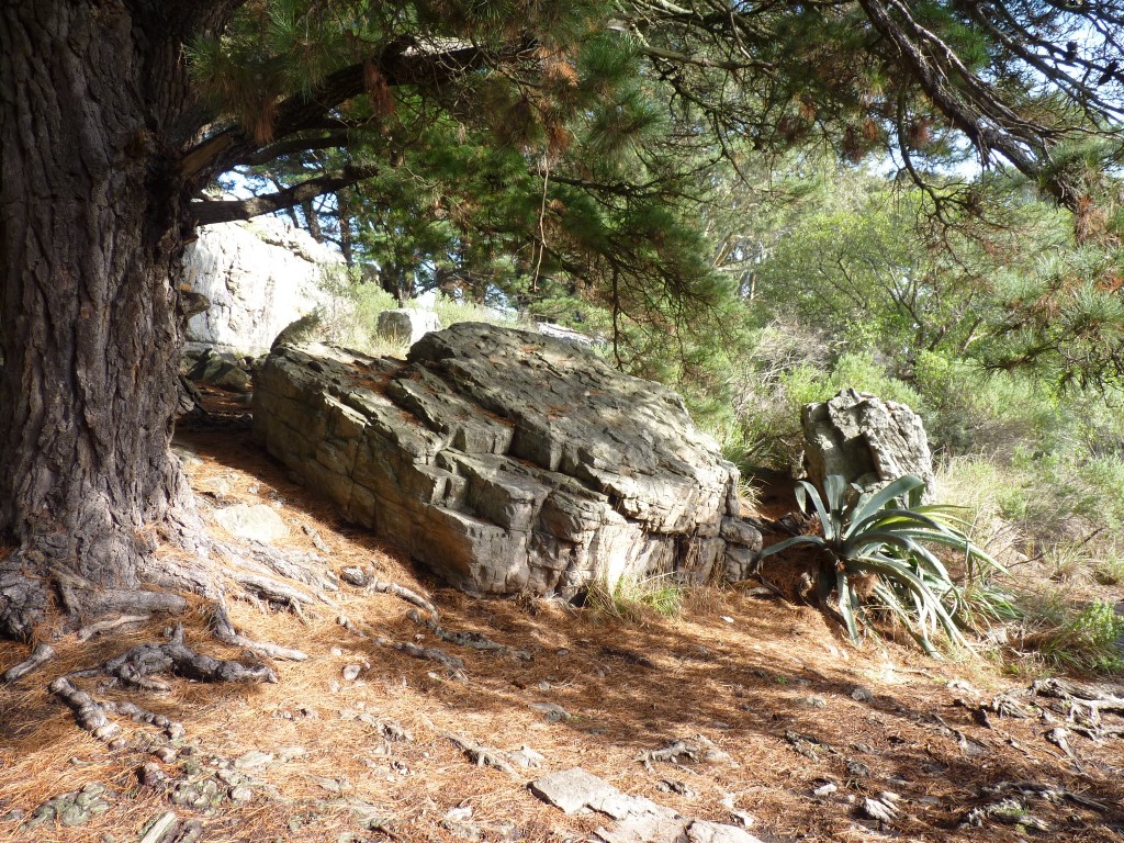 Foto de Sierra de los Padres (Buenos Aires), Argentina