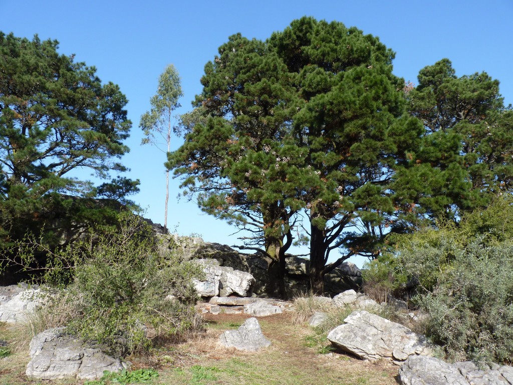 Foto de Sierra de los Padres (Buenos Aires), Argentina