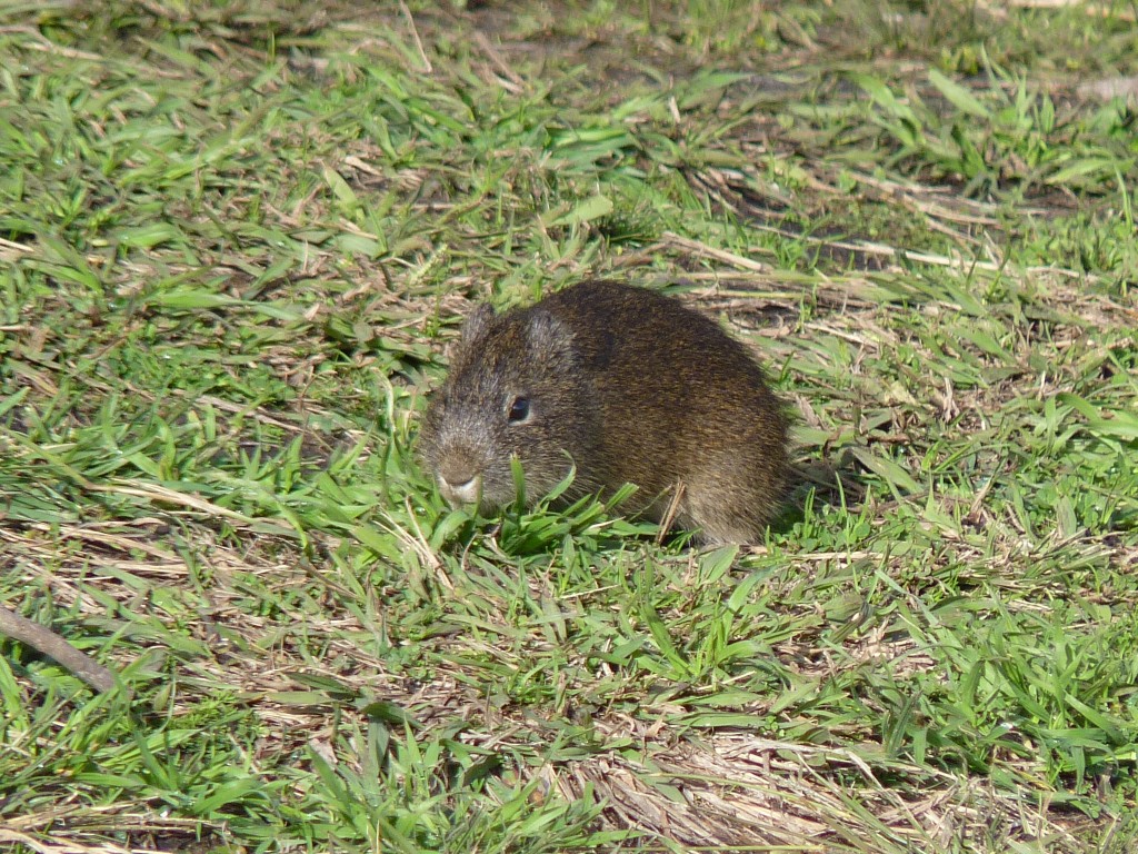 Foto: cuiz - Sierra de los Padres (Buenos Aires), Argentina