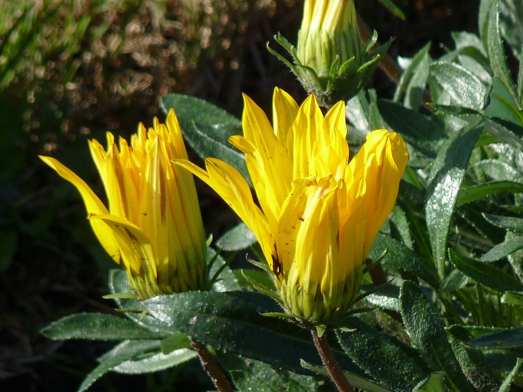 Foto de Sierra de los Padres (Buenos Aires), Argentina