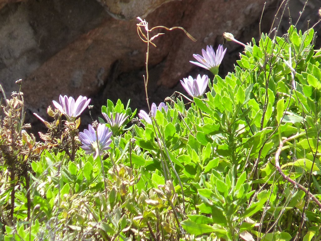 Foto de Sierra de los Padres (Buenos Aires), Argentina