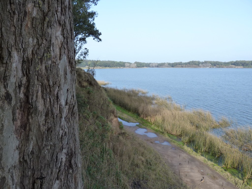 Foto de Laguna de los Padres (Buenos Aires), Argentina
