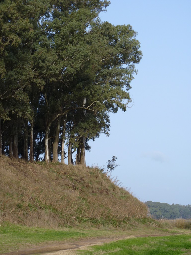 Foto de Laguna de los Padres (Buenos Aires), Argentina